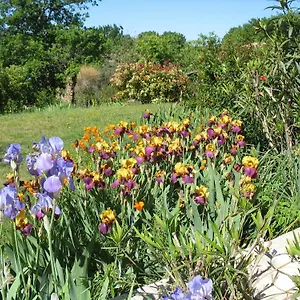 La Cigaline Bed & Breakfast Villedieu (Vaucluse)